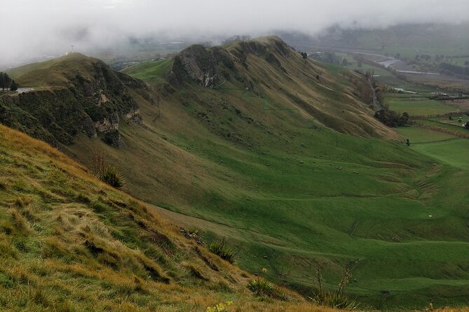 Half Day Sightseeing and Taste Tour - Te Mata Peak, 399 meters up, and a photo stop that pays off