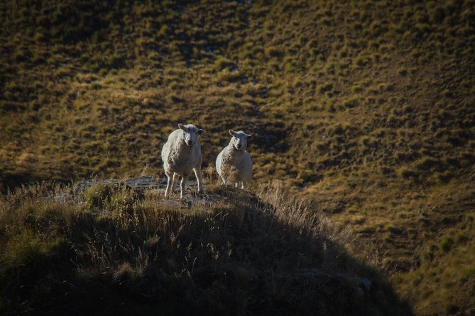 Half Day Skippers Canyon Queenstown Private Photography Adventure - The Skippers Road drive, where the photo stops make sense