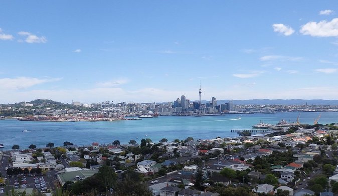 Half-Day: Small Group Auckland Scenic Tour - 4 HOURS - Key things to know before you go