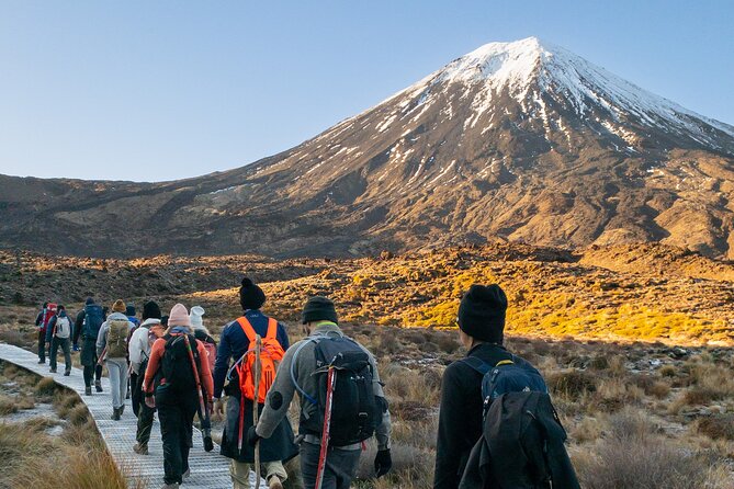 Half Day Tongariro Alpine Guided Group Walk - A Half-Day Tongariro Taste, Aiming Straight for Soda Springs
