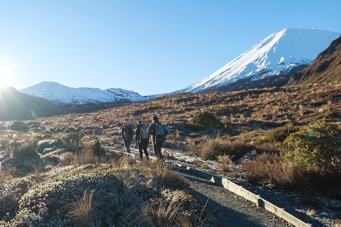 Half Day Tongariro Alpine Guided Group Walk - What You Carry, What They Provide, and the NZD 60 Clothing Allowance