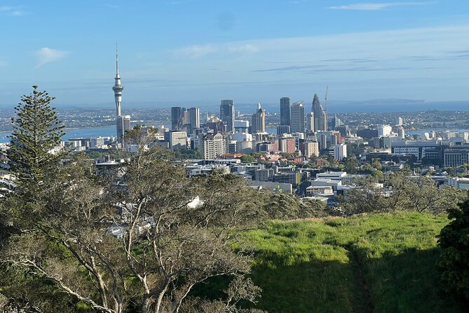 Half-Day Tour: AUCKLAND CITY Highlights with Hotel Pickup - Key Highlights Worth Booking