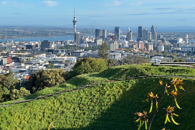 Half-Day Tour: AUCKLAND CITY Highlights with Hotel Pickup - Why This Half-Day Auckland Tour Works When You Are Short on Time