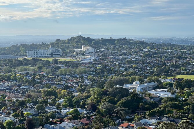 Half-Day Tour: AUCKLAND CITY Highlights with Hotel Pickup - Sky Tower and the City Skyline Drive: Fast Orientation