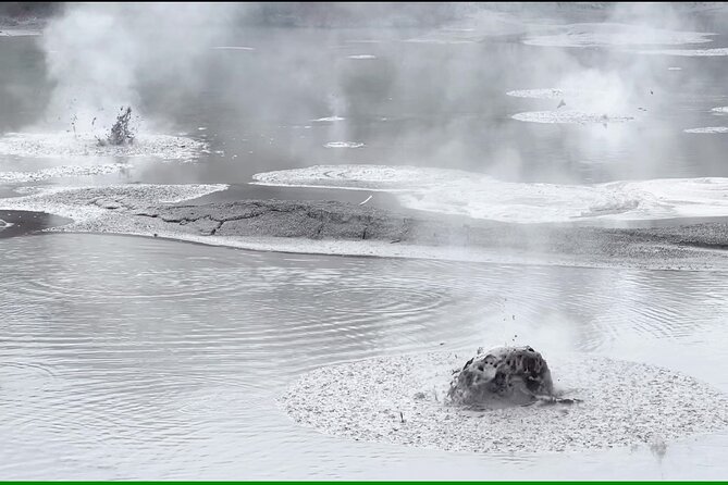 Half-Day Tour - Ex Rotorua: WAI-O-TAPU Thermal Wonderland - Wai-O-Tapu Thermal Wonderland: a self-guided walk with room to breathe