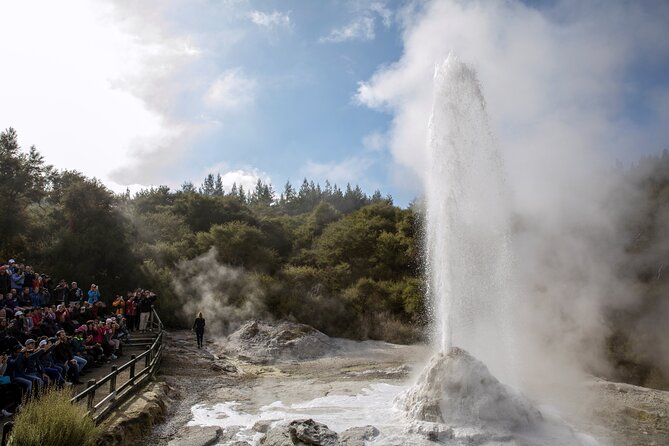 Half-Day Tour - Ex Rotorua: WAI-O-TAPU Thermal Wonderland - Lady Knox geyser presentation: the moment people remember