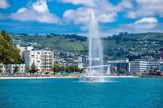 Half Day Tour of Wellington - Key Things That Make This Wellington Half-Day Worth It
