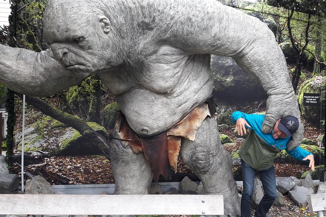 Half Day Tour of Wellington - Mount Victoria: The 360 View Stop That Defines Wellington
