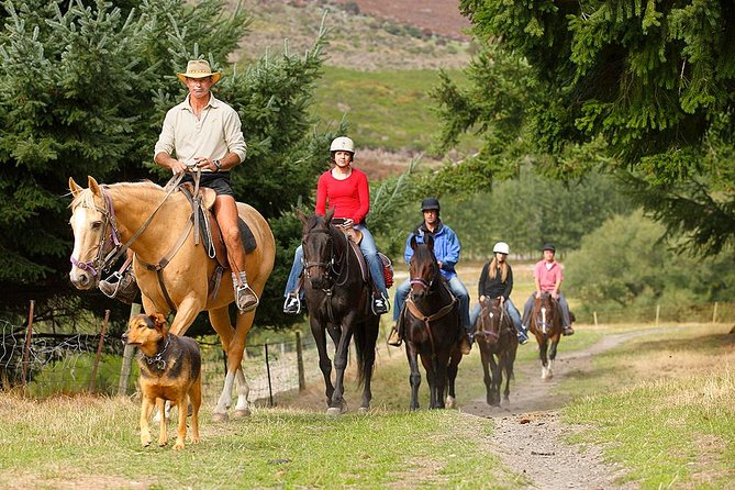 Half Day Walter Peak Horse Trek and Cruise from Queenstown - Who this tour fits best, and who should consider another plan