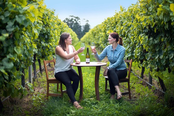 Half-Day Wine Tour from Blenheim - Why this Marlborough tour works so well at 1:30 pm
