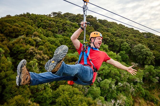Half Day Zipline Adventure in Kaikoura - The guided walks between flights: native forest plus farm knowledge