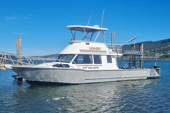 Harbour, Albatross and Wildlife Cruise on Otago Harbour - Key things I’d know before you go