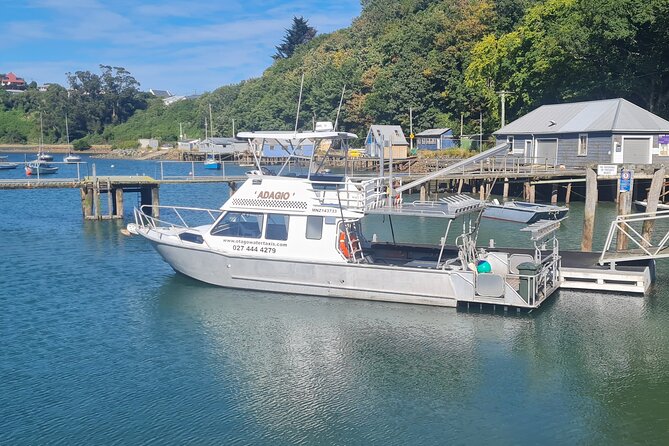 Harbour, Albatross and Wildlife Cruise on Otago Harbour - Careys Bay Hotel option, turning the cruise into a half-day