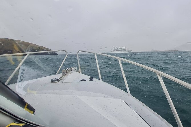 Harbour, Albatross and Wildlife Cruise on Otago Harbour - How to choose this cruise for your travel style