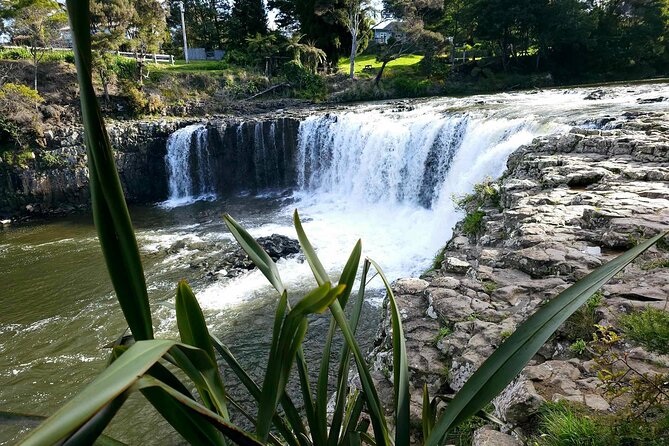 Haruru Waterfalls and Glow Worm Caves Tour - Price and value: where $108.60 makes sense