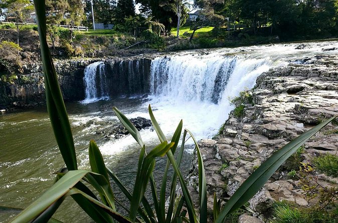 Haruru Waterfalls and Glow Worm Caves Tour - Who this tour fits best