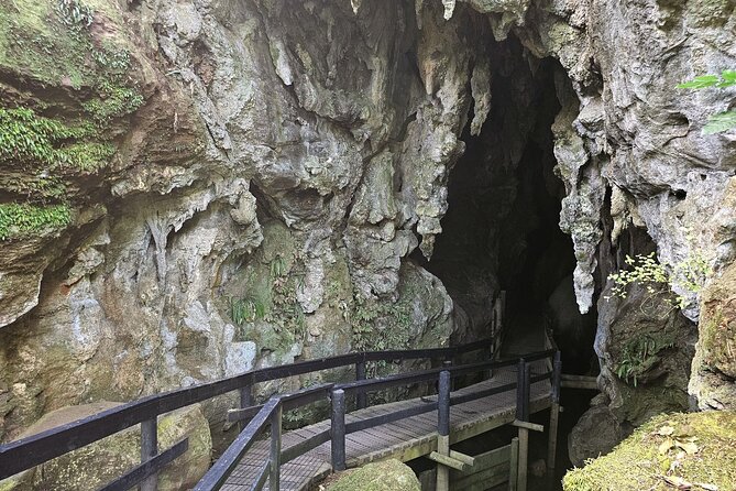 Haruru Waterfalls and Glow Worm Caves Tour - Kawiti Glow Worm Caves: the easy walk that still feels special