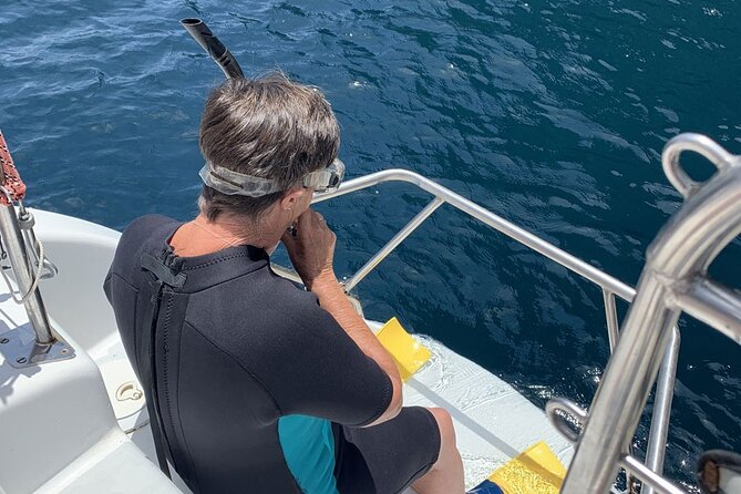Hauraki Gulf Eco Sailing Adventure - Getting to Waiheke, then right onto the catamaran