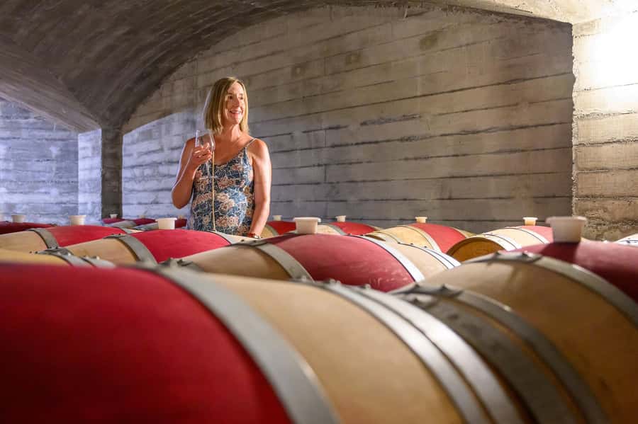 Hawkes Bay: Half-Day Wine Tour with Tastings and Cheeseboard - Cheeseboard Pairing: A Simple Touch That Improves Everything