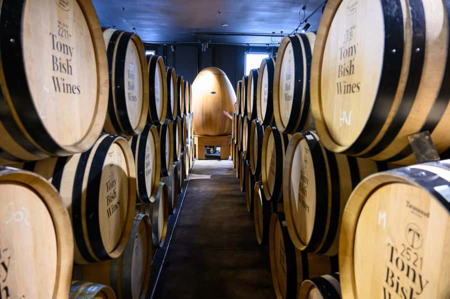 Hawkes Bay: Half-Day Wine Tour with Tastings and Cheeseboard - Vineyard and Viewpoint Moments: The Quick Scenic Stop Pays Off