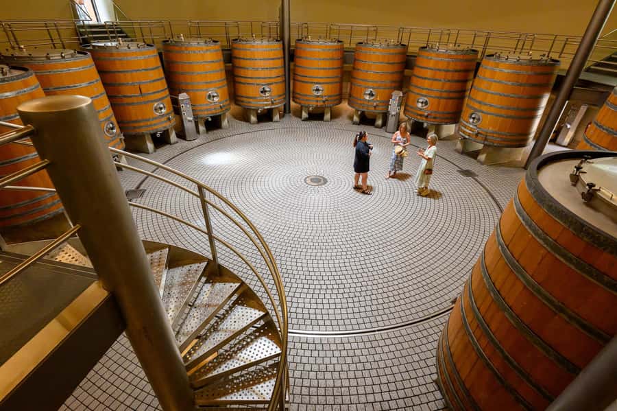 Hawkes Bay: Half-Day Wine Tour with Tastings and Cheeseboard - The Guide Factor: Names Matter, and So Does the Tone