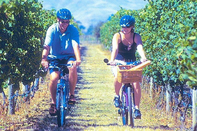 Hawkes Bay Wineries Self-Guided Bike Tour - Key Points You’ll Care About