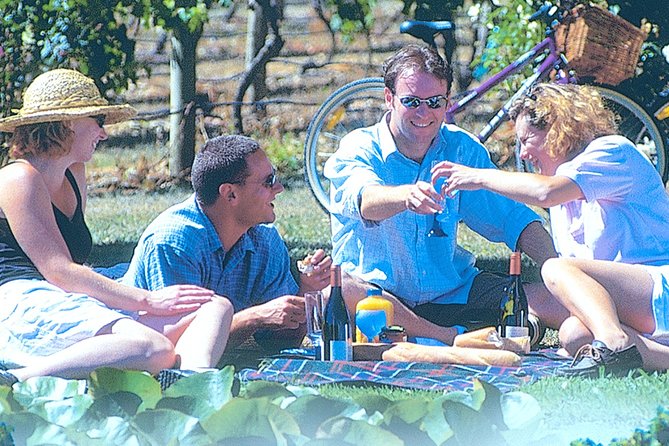 Hawkes Bay Wineries Self-Guided Bike Tour - Getting Your Bike Right: Simple Setup, Real Confidence