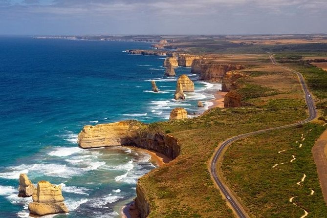 Hawkes Bay Wineries Self-Guided Electric Bike Tour - Who This Tour Suits Best (and Who Should Skip It)
