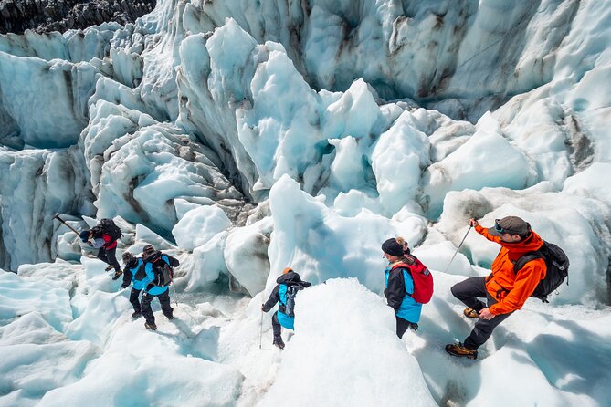 Heli Hike Fox Glacier - Price and value: is $477.37 worth it?