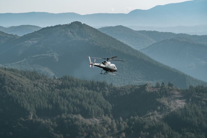 Heli-Scenic Nelson Mountain Adventure - Nelson Mountain Landing: The Difference Between Looking and Being There