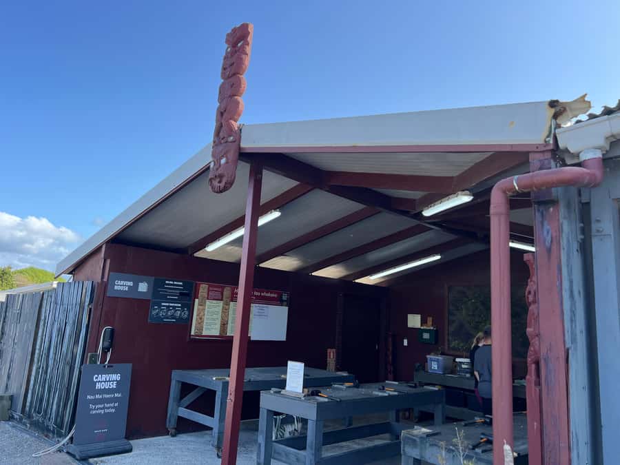 HELL'S GATE Mud Spa, Rotorua - Group Day Tour Ex Auckland - Hell’s Gate Geothermal Park: how to enjoy the self-guided walk