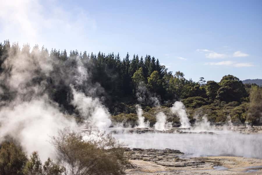 HELL'S GATE Mud Spa, Rotorua - Group Day Tour Ex Auckland - Auckland-to-Rotorua logistics, without the chaos