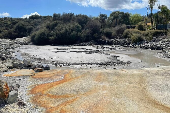 Hells Gate Geothermal, Mud & Sulphur Spa - From Tauranga to Rotorua, without the stress