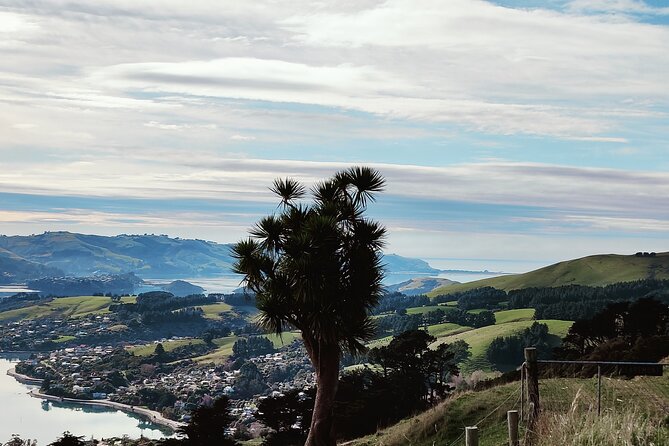 Heritage City and Larnach Castle Van tour with Historian Guide - What makes Gregor’s approach different