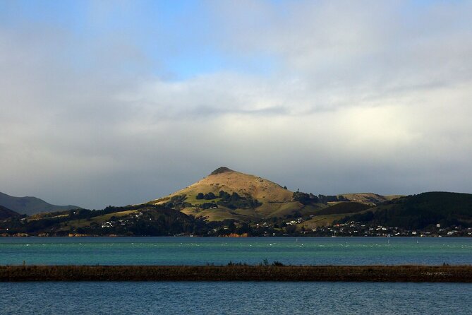 Heritage City and Larnach Castle Van tour with Historian Guide - Timing and logistics that matter in real life