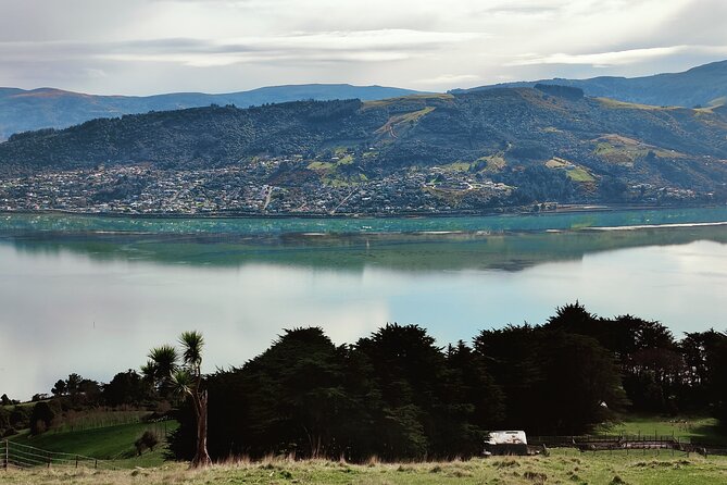 Heritage City and Larnach Castle Van tour with Historian Guide - Who should book this tour