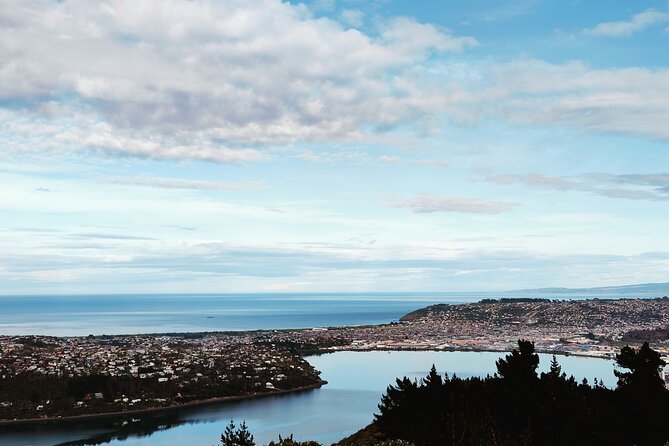 Heritage City and Larnach Castle Van tour with Historian Guide - Quick practical tips to make the most of it