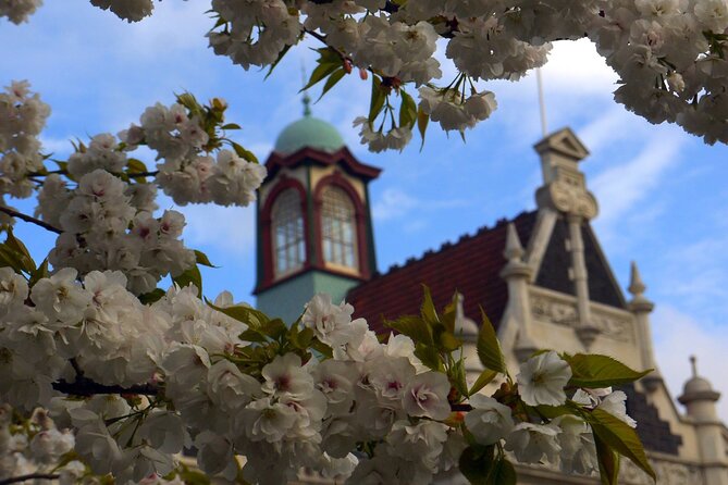 Heritage Dunedin City Walking Guided Tour - Queens Gardens and Princes Street, where settlement meets waterlogged reality