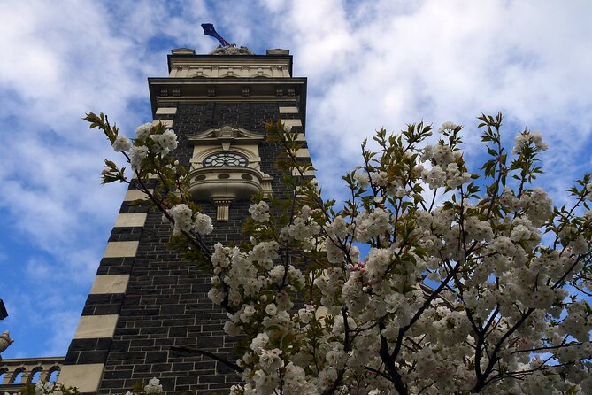 Heritage Dunedin City Walking Guided Tour - Price and pace, what $40.34 buys you