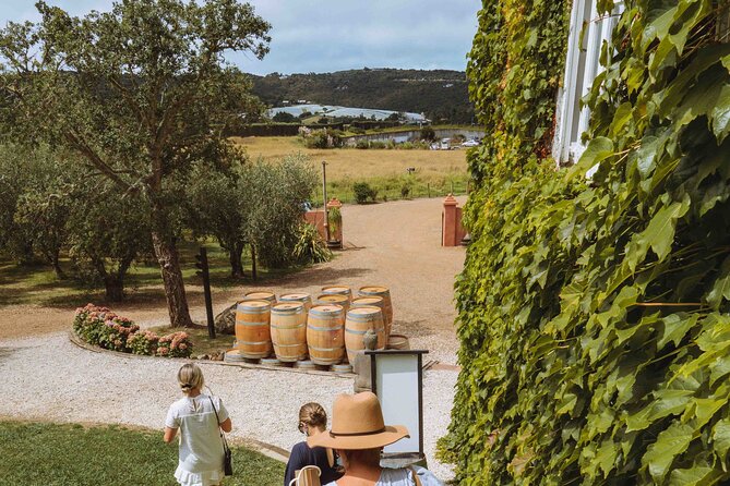 High End Sommelier Tour on Waiheke Island - Two more producers: boutique wines and what “limited” means in practice