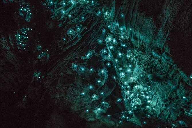 Hobbiton and Waitomo Caves Small Tour from Auckland - Who this tour fits best (and who should skip it)