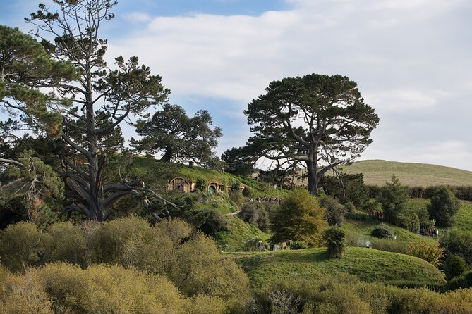 Hobbiton Day Tour from Rotorua with lunch at Hobbiton - Timing and crowd management: how to avoid the rushed feeling