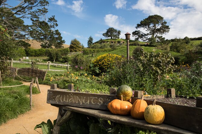 Hobbiton Day Tour from Rotorua with lunch at Hobbiton - The ride back to Rotorua: enjoy the quiet, but keep an eye on comfort