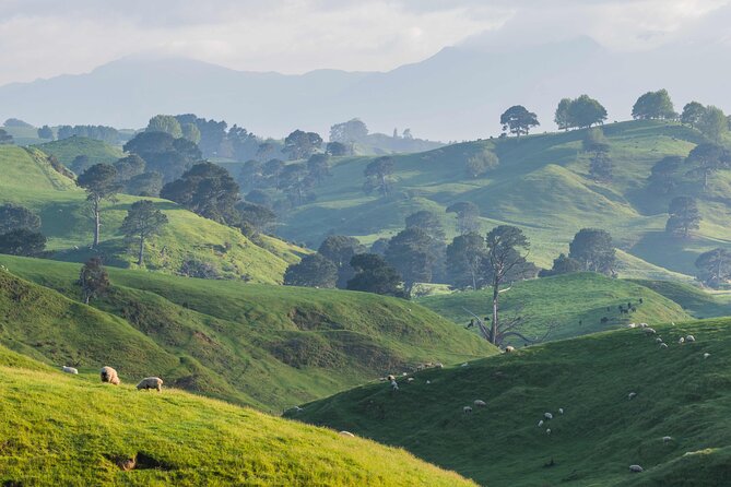 Hobbiton Movie Set Guided Day Tour with Lunch from Auckland - Hobbiton picnic lunch, plus how to make it feel like a break