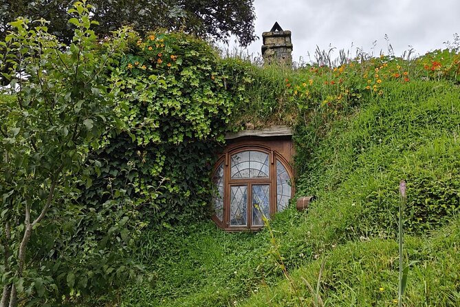 Hobbiton Movie Set Guided Day Tour with Lunch from Auckland - Price and value at about $204.79 per person
