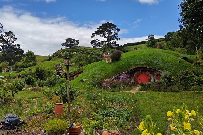 Hobbiton Movie Set Guided Day Tour with Lunch from Auckland - Good to know before you go: timing, weather, and comfort