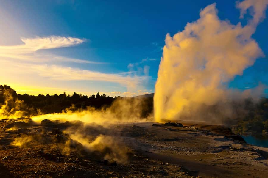 Hobbiton Movie Set & Rotorua Premium Day Tour from Auckland - Rotorua Te Puia: geothermal wonder plus Maori culture in the same visit
