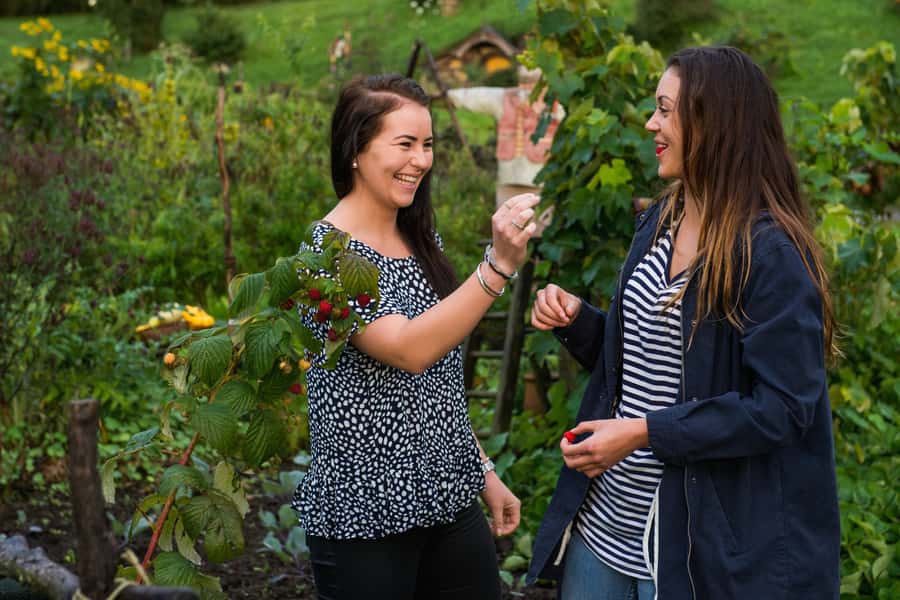 Hobbiton Movie Set & Rotorua Premium Day Tour from Auckland - How the 12 hours play out, and how to avoid feeling rushed