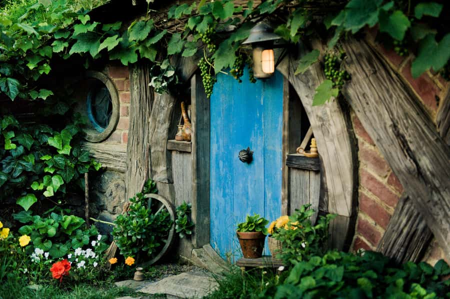 Hobbiton Movie Set & Rotorua Premium Day Tour from Auckland - Transport comfort and guide power, why this tour can feel smoother