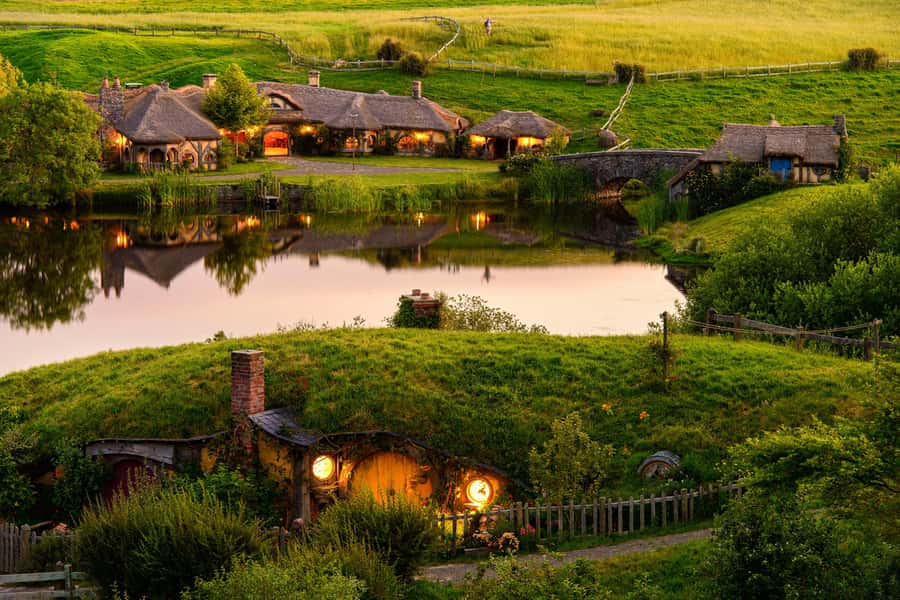 Hobbiton Movie Set & Te Puia Geothermal Valley Private Tour - Nga Manu Ahurei (Kiwi House): seeing a Kiwi without guessing